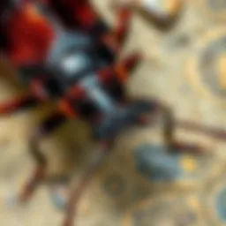 Detailed anatomy of a black house roach