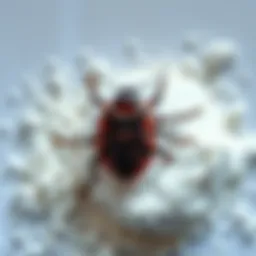 Understanding Boric Acid Bed Bug Powder: A Comprehensive Guide Introduction