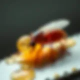 Close-up view of bug killer gel application on a surface.