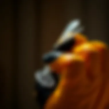 Safety measures for using bug killer gel in various environments.