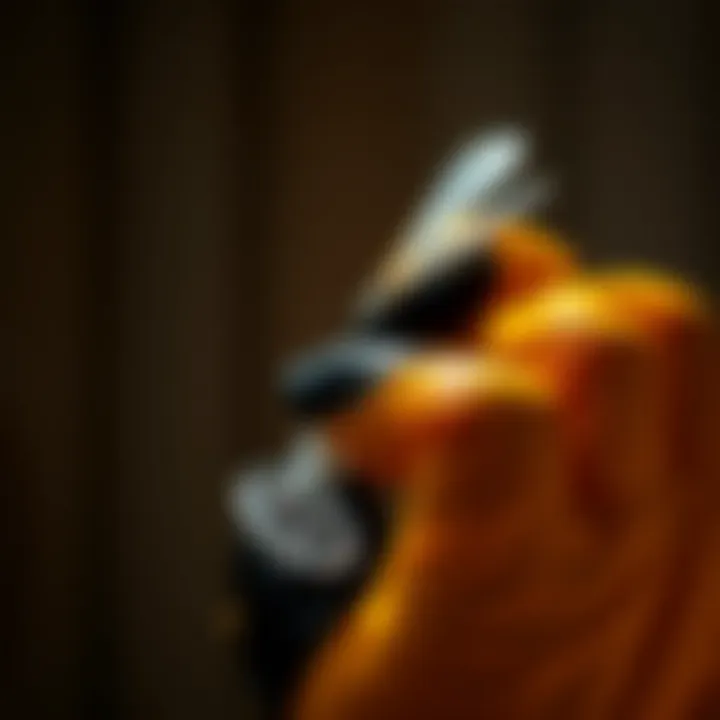 Safety measures for using bug killer gel in various environments.