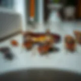 Diverse species of cockroaches in a residential setting