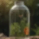 Close-up of a mosquito barrier liquid bottle with a natural background