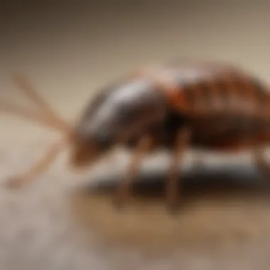 Comparative Analysis of Different Pest Control Methods Comparative analysis of pest control methods