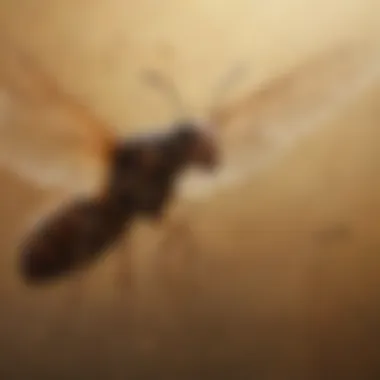 A close-up view of a termite swarm in flight, showcasing the delicate wings and body structure.