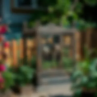 A well-designed possum cage set in an urban garden.