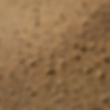 Texture of Delta Dust Insecticide Close-up of Delta Dust powder texture